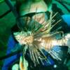 This photo was submitted by Harry Booth.  This 4 inch long lionfish was found in 65 feet of water off the coast of Pompano Beach and terminated on August 15, 2010.