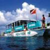 AQUA VIEW
South Florida Diving Headquarters
Length:  45 ft.
Width:  14.4 ft.
Cruise Speed: 20 Knots
Hull:  Catamaran
Power: Twin 225 hp outboards
Capacity: 35 divers or 49 passengers
Safety: First Aide, O2 & A.E.D.